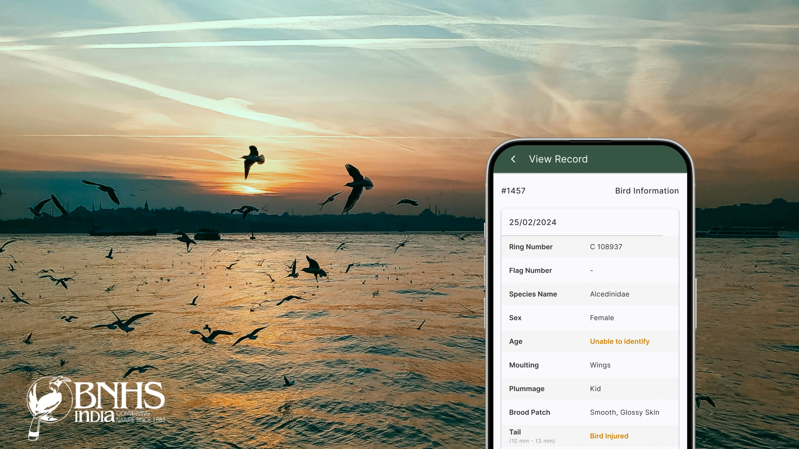 App-Prototype