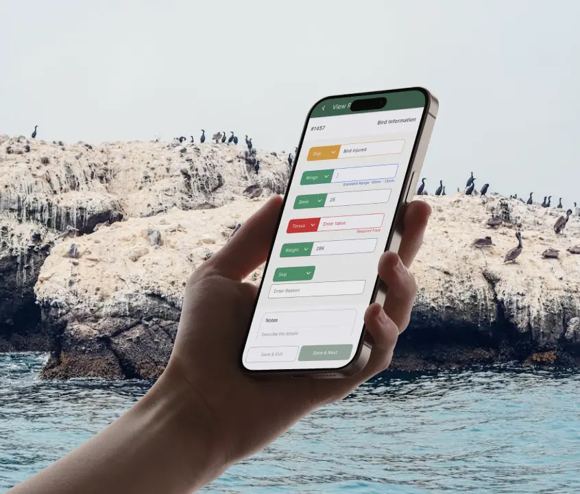 Bg-Mobile-Group